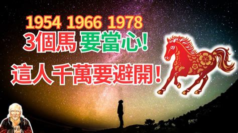 1978年屬什麼|1978年生肖馬的一生